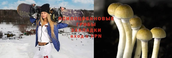 соль ск Балахна