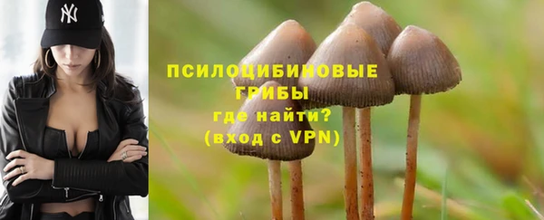 соль ск Балахна